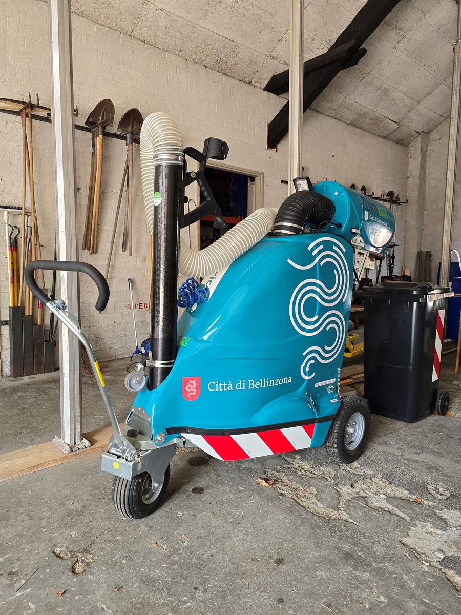 Lavoro di Decorazione veicoli realizzato da VAM Deco in Ticino (foto 5)